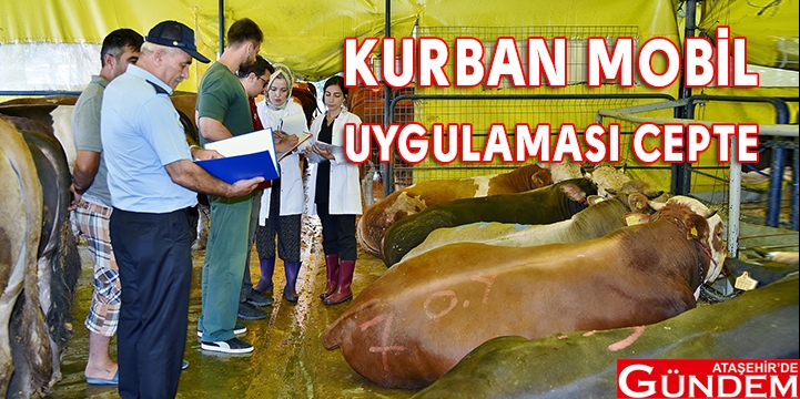 İBB KURBAN BAYRAMINA HAZIR İBB KURBAN BAYRAMINA HAZIR